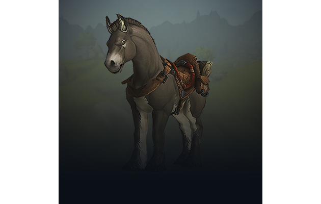 Lil' Donkey