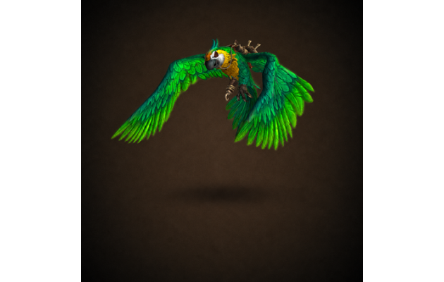 Squawks