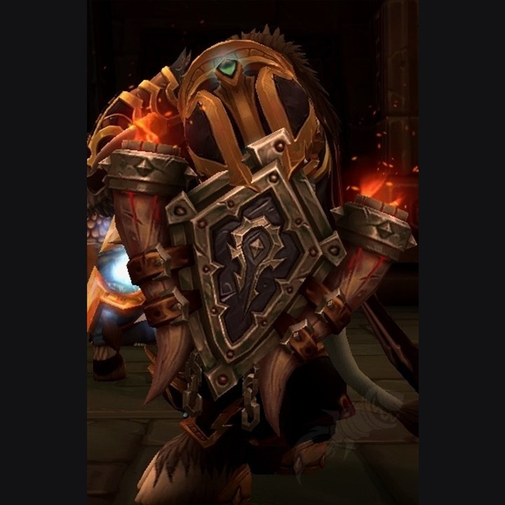 Honorbound Protectorate shield transmog
