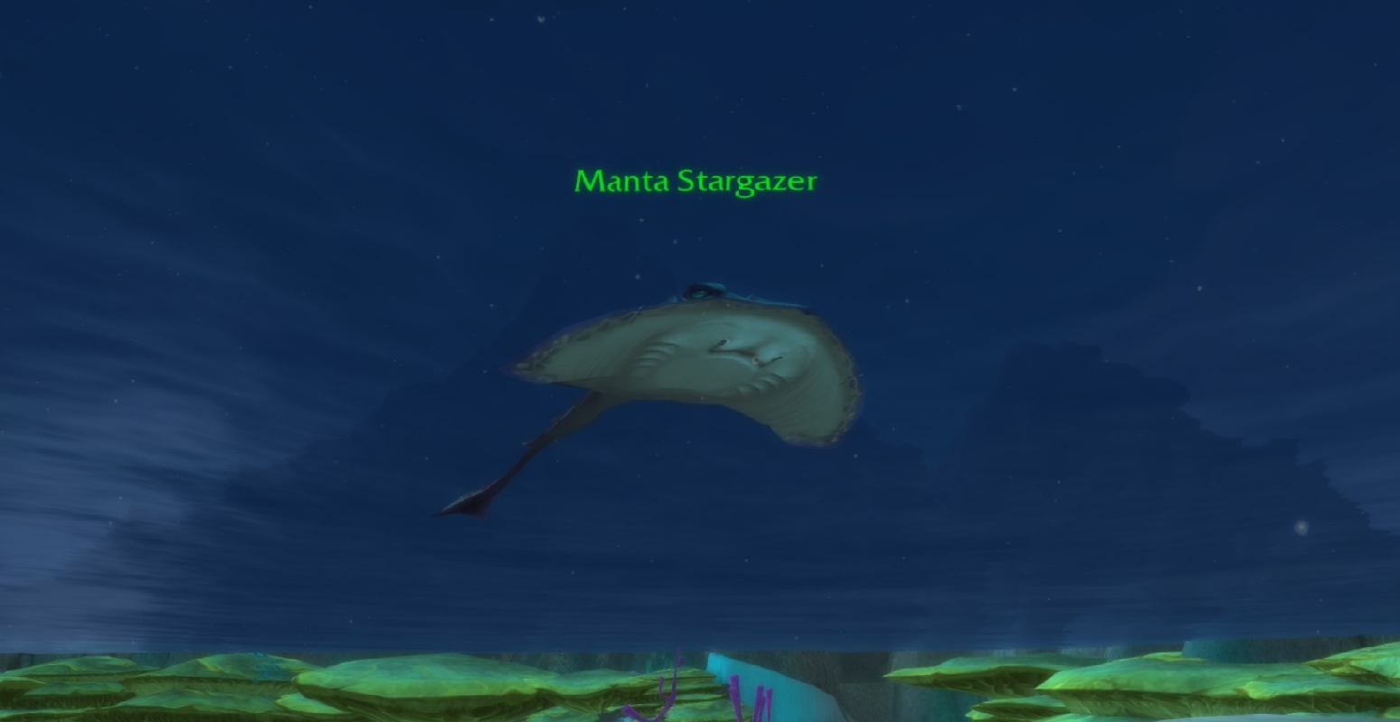 Manta Stargazer