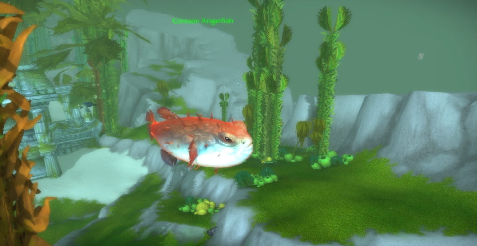 Crimson Angerfish