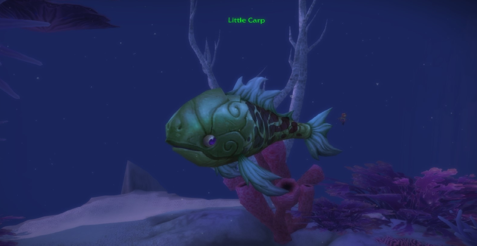 Little Carp