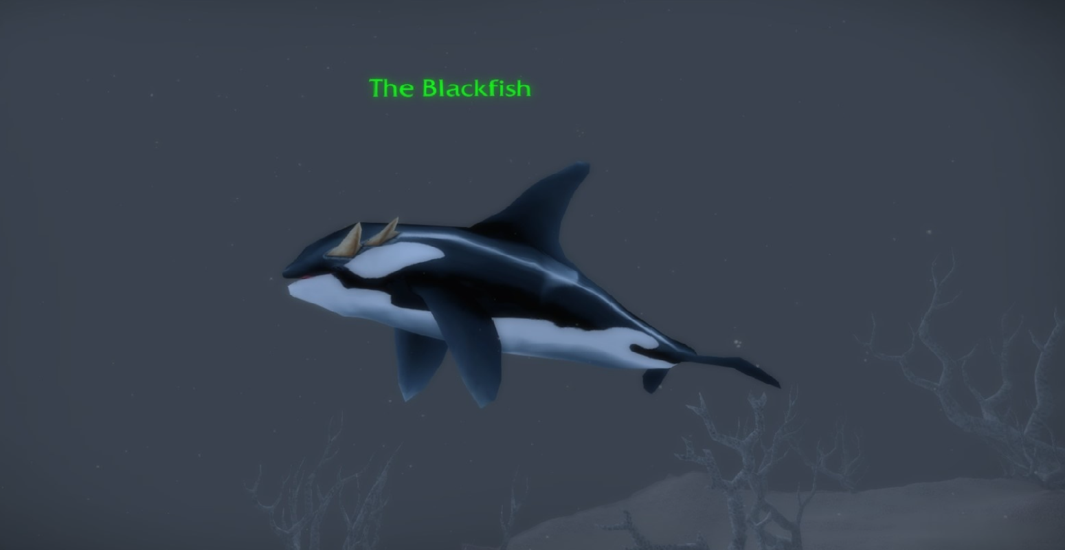 The Blackfish
