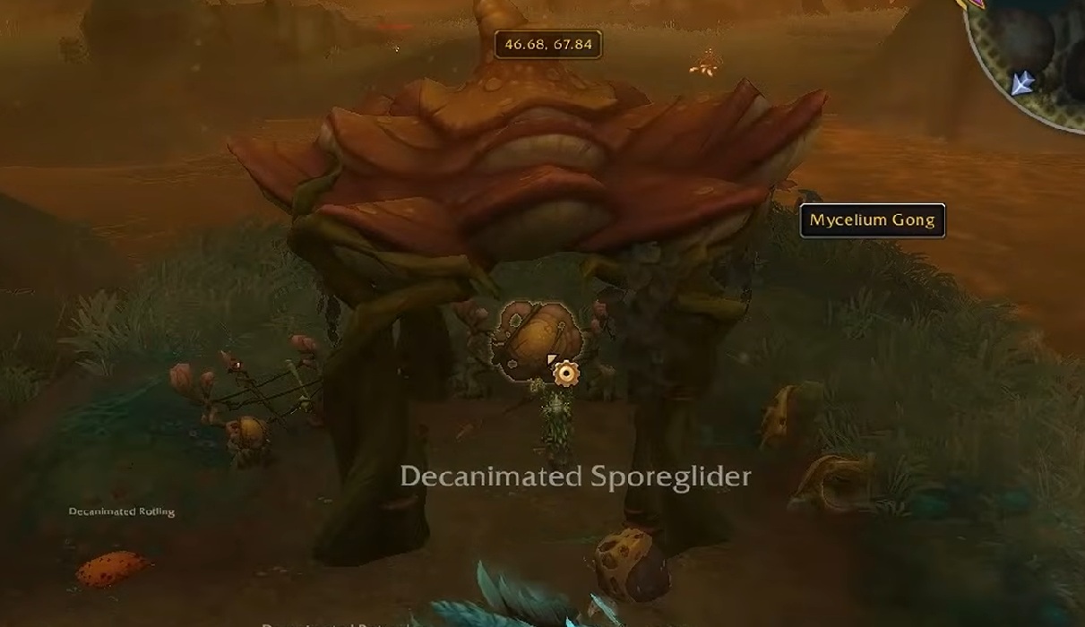 Mycelium Gong location