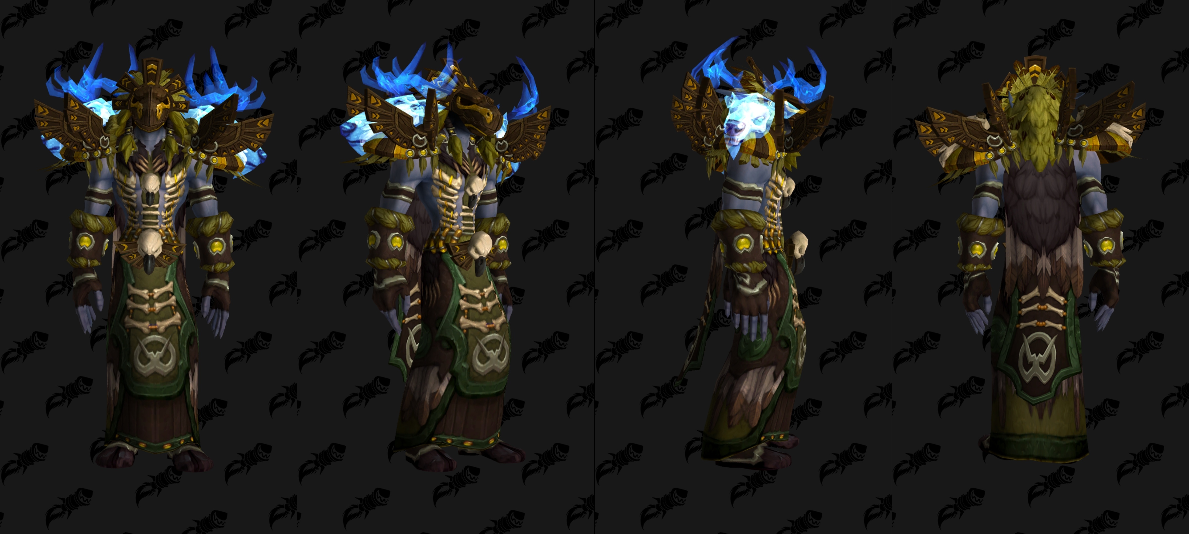 Stormheart Raiment