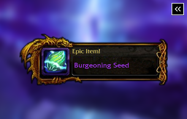 Burgeoning Seed