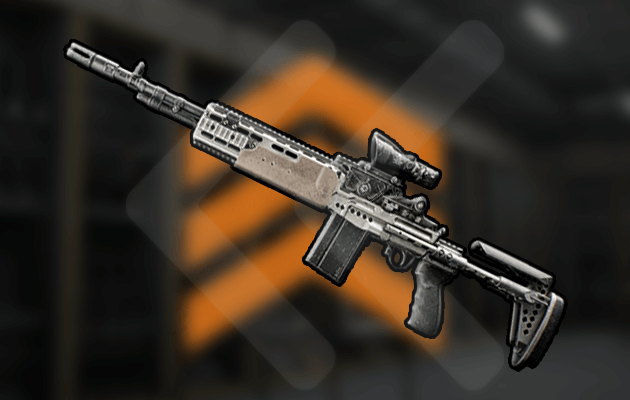 Battlefield 6 DMR Boost