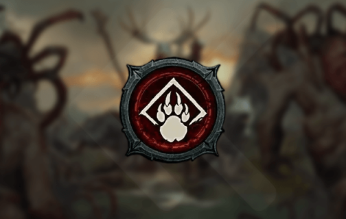 Druid Builds