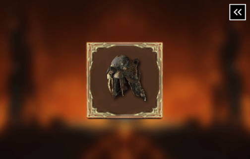 Diablo 4 Mantel der Loyalität