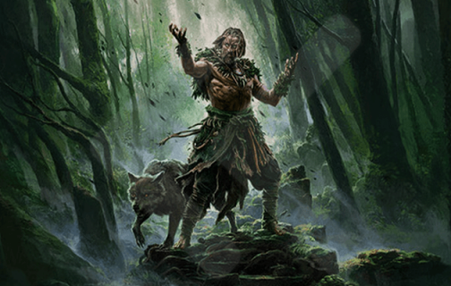 PoE 2 Druide Build