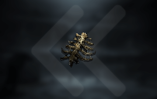Path of Exile 2 Côte rongée