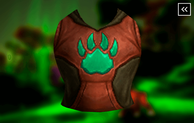 Master Trainer's Tabard