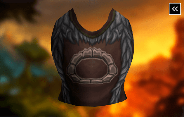 Tabard of the Earthen Ring